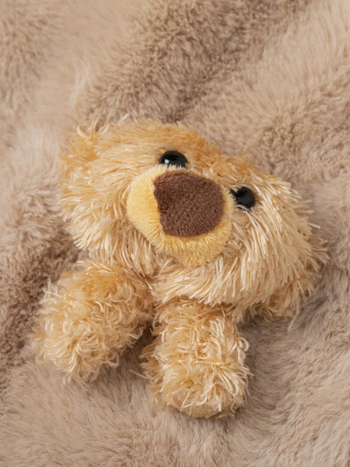 Aelfric Eden 3D Bear Sherpa Coat