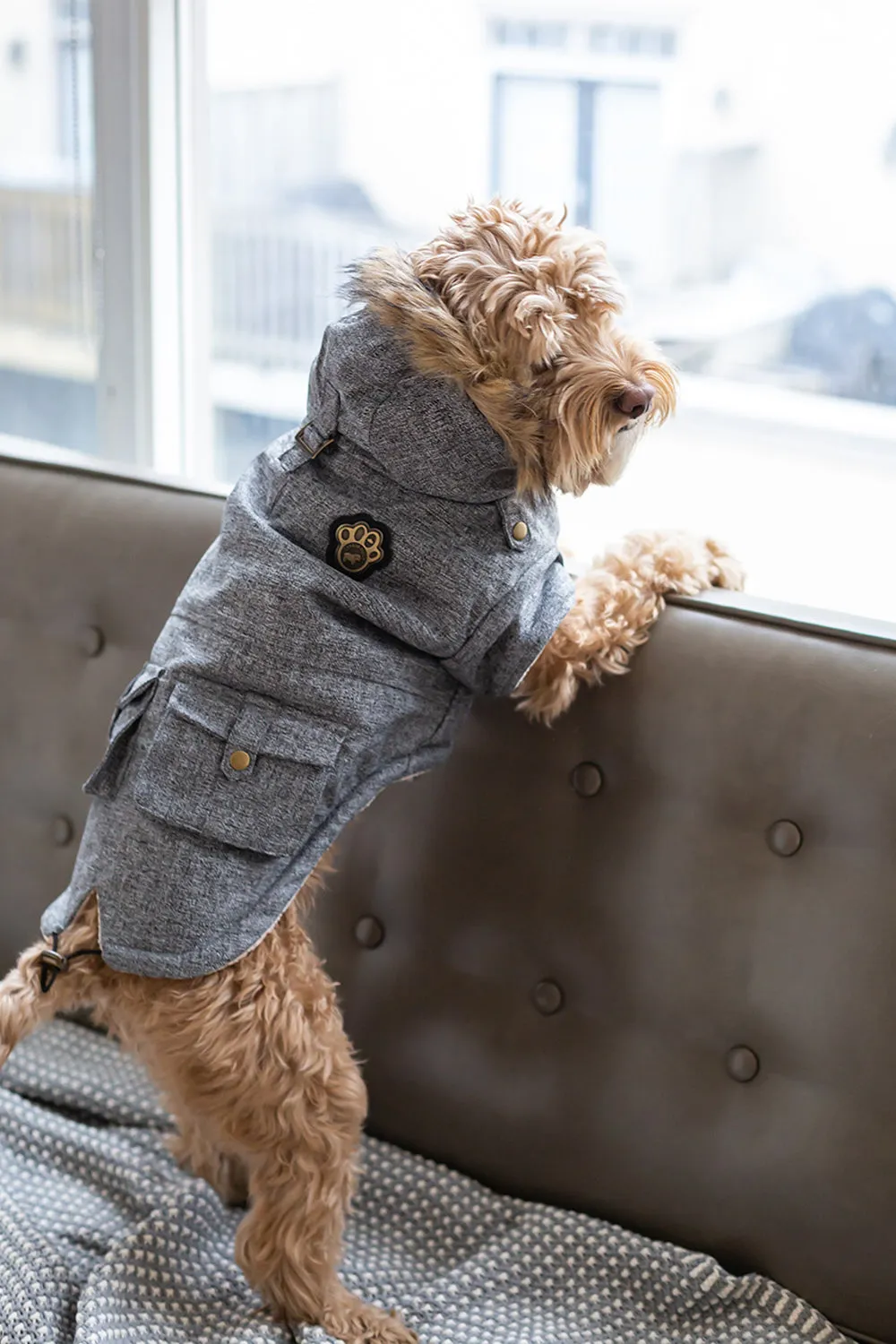 Canada Pooch Alaskan Army Parka