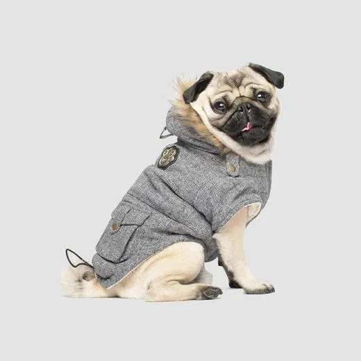 Canada Pooch Alaskan Army Parka