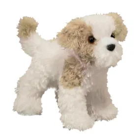 Dougals Jolly Maltipoo