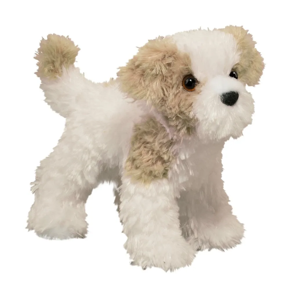 Dougals Jolly Maltipoo