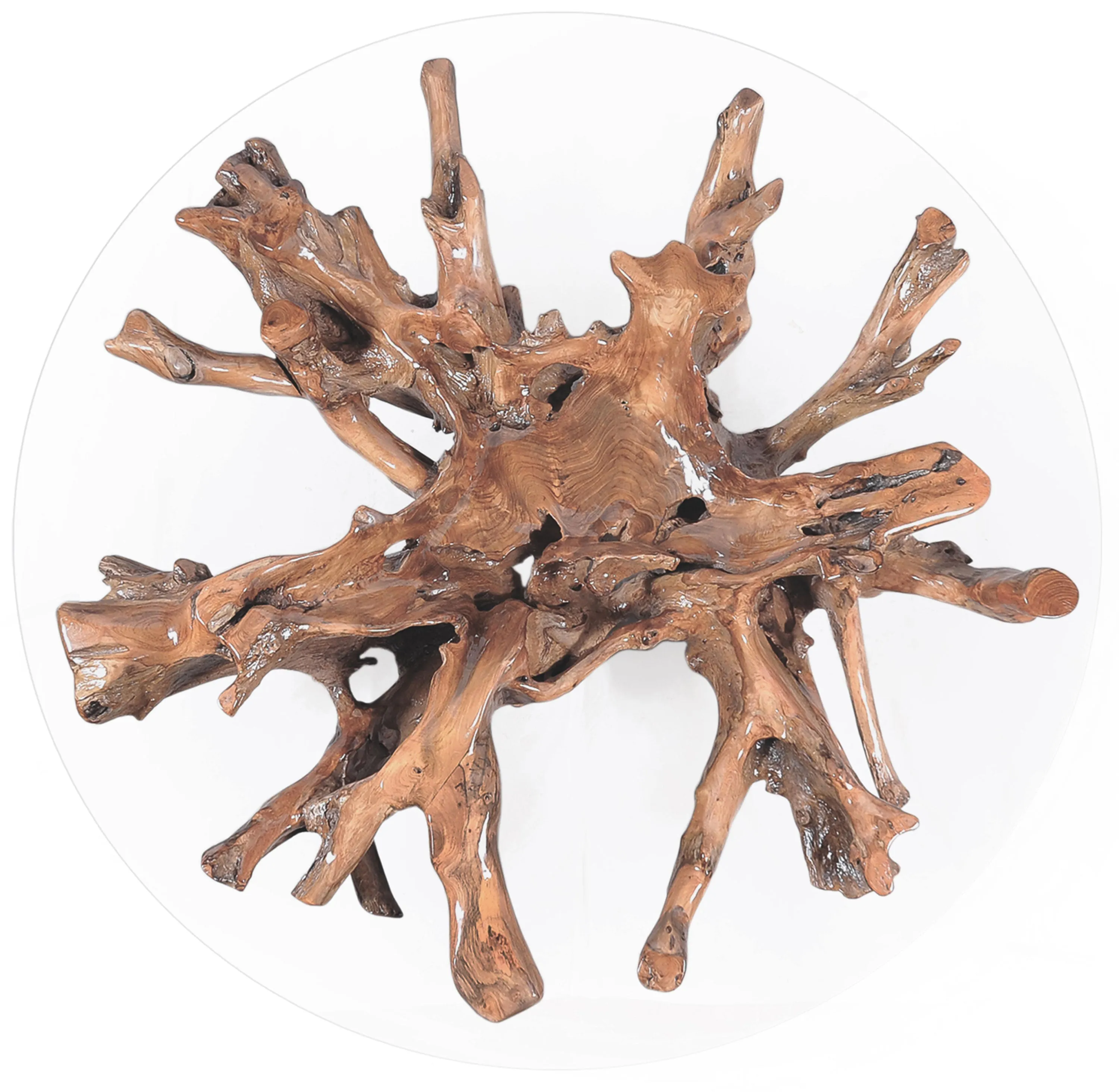 Teak Wood Root Coffee Table including a 63" Round Glass Top