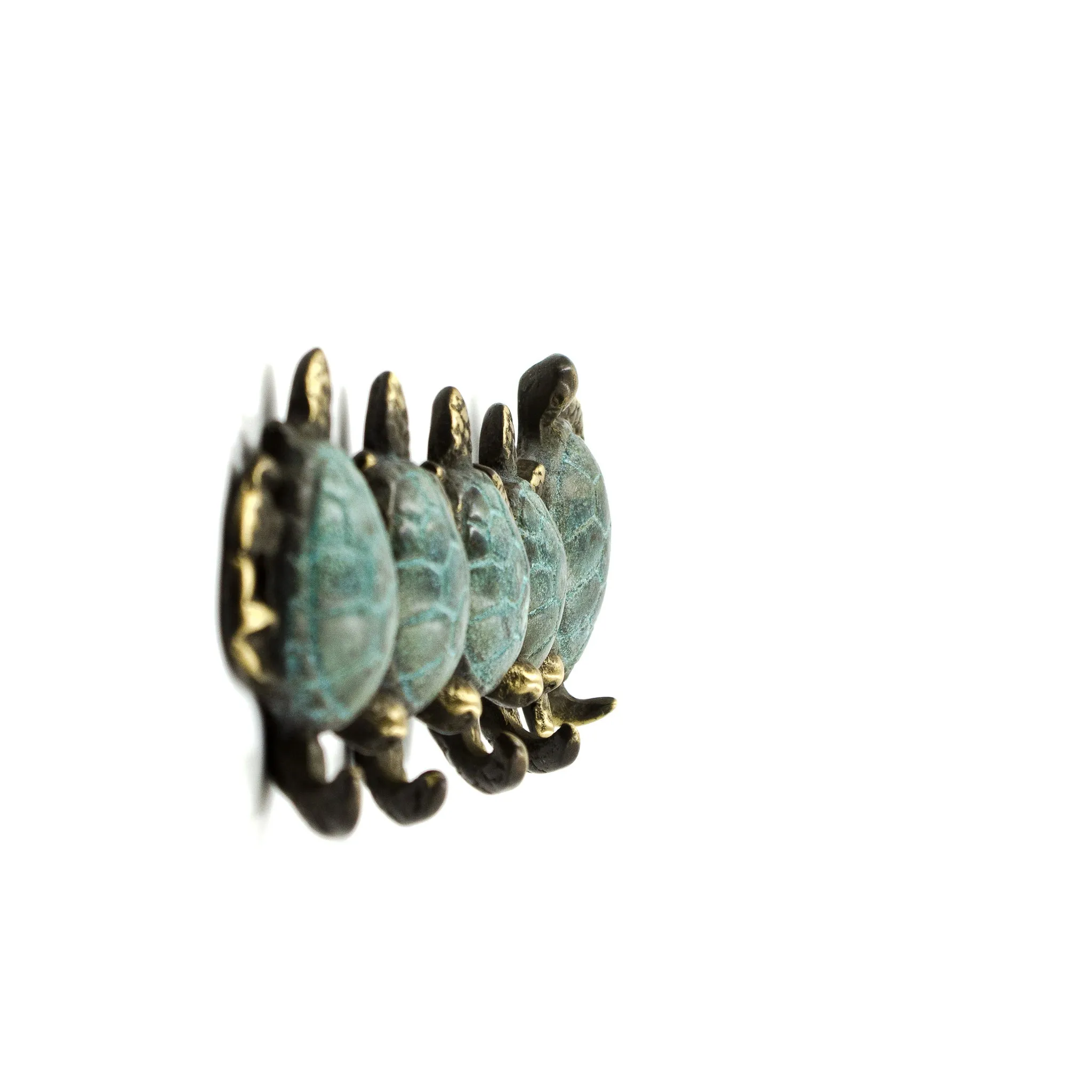 Turtle Quintet Key hook