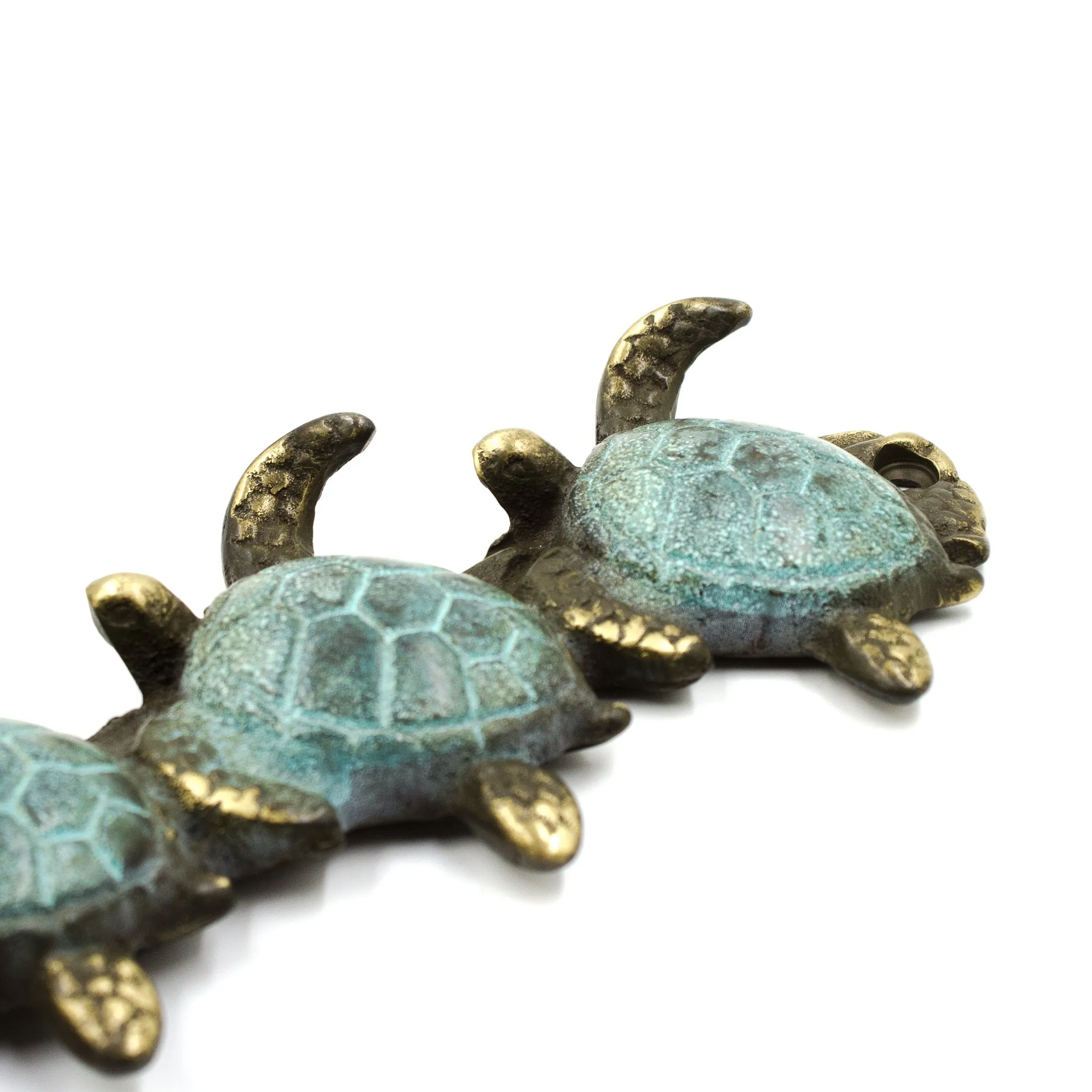 Turtle Quintet Key hook